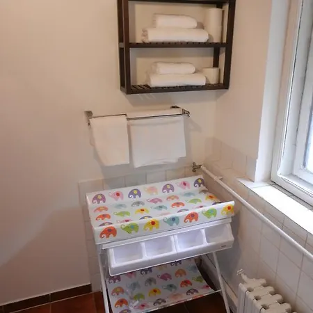 Casa Bunicii 아파트 *